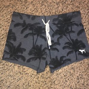 Palm Tree Shorts